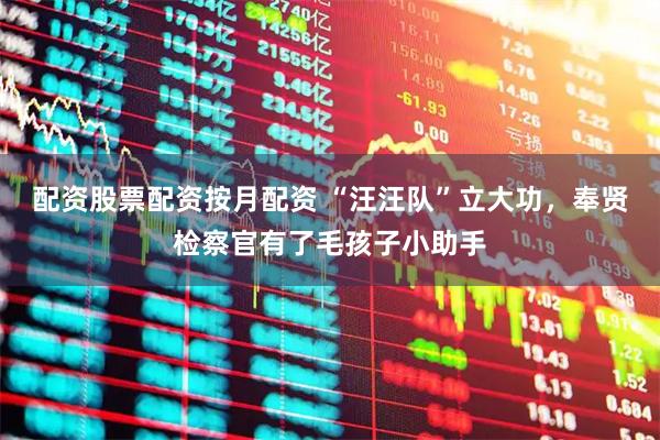 配资股票配资按月配资 “汪汪队”立大功，奉贤检察官有了毛孩子小助手