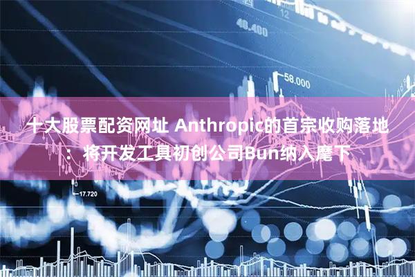 十大股票配资网址 Anthropic的首宗收购落地：将开发工具初创公司Bun纳入麾下