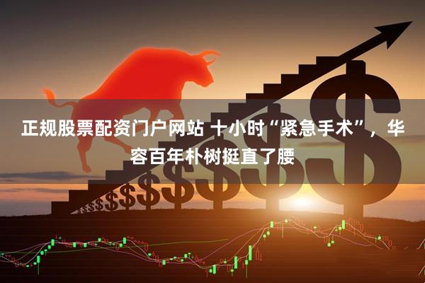 正规股票配资门户网站 十小时“紧急手术”，华容百年朴树挺直了腰